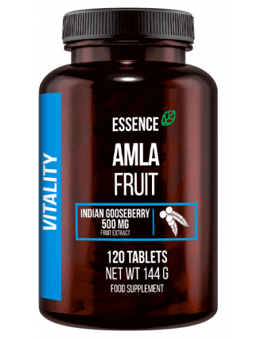 Amla Fruit Agrest Indyjski 120 tab.