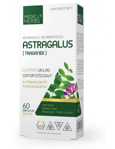 Astragalus - Traganek 600mg 60 kap.