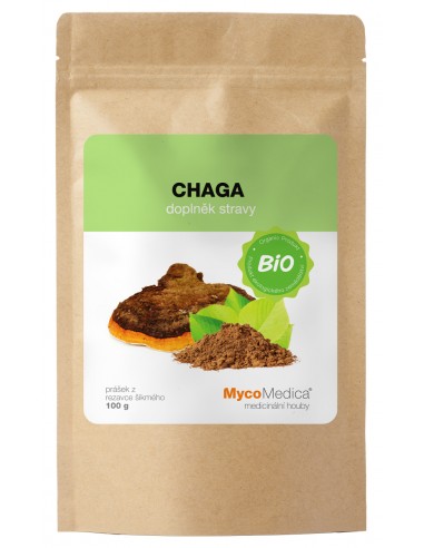 Chaga 100 g BIO - Błyskoporek...