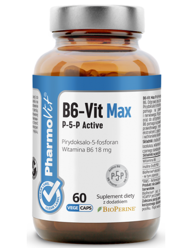 B6-Vit Max P-5-P Active 60 kap.